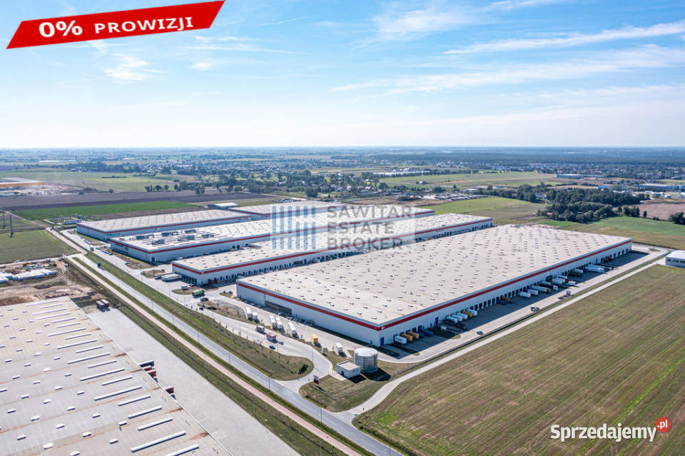 Wys 12m ochrona parking zarazbez prowizji Wynajem Robakowo