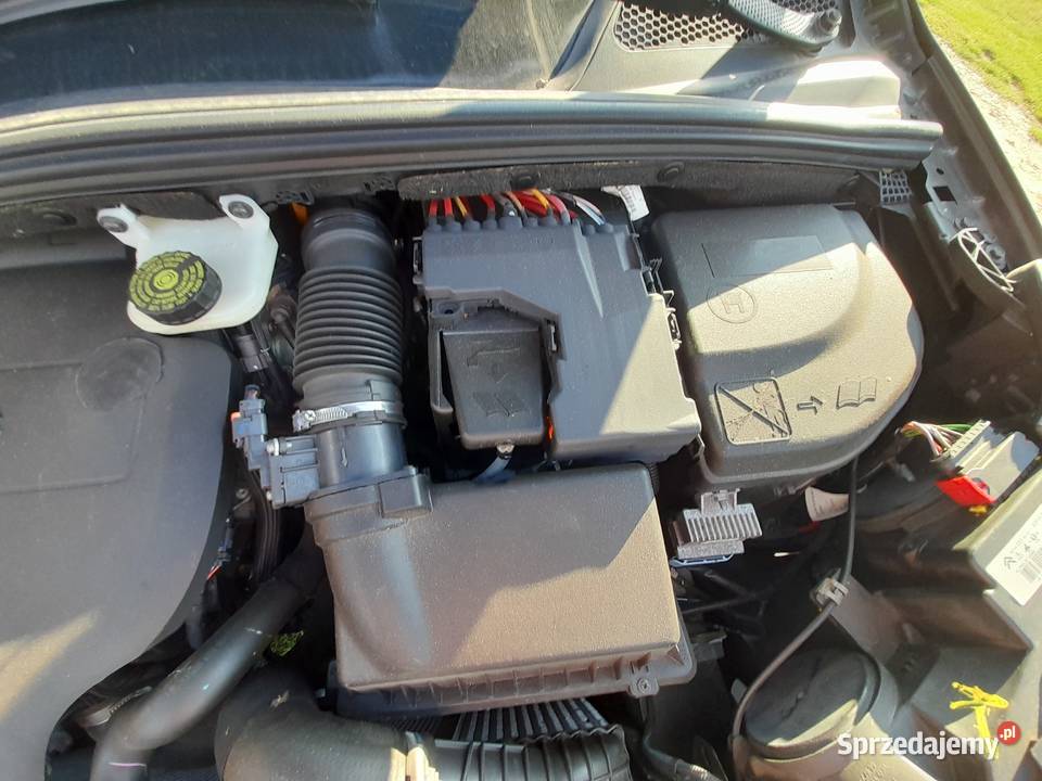 Citroen DS4 Rok produkcji 2013 Rząśnik Szlachecki sprzedam