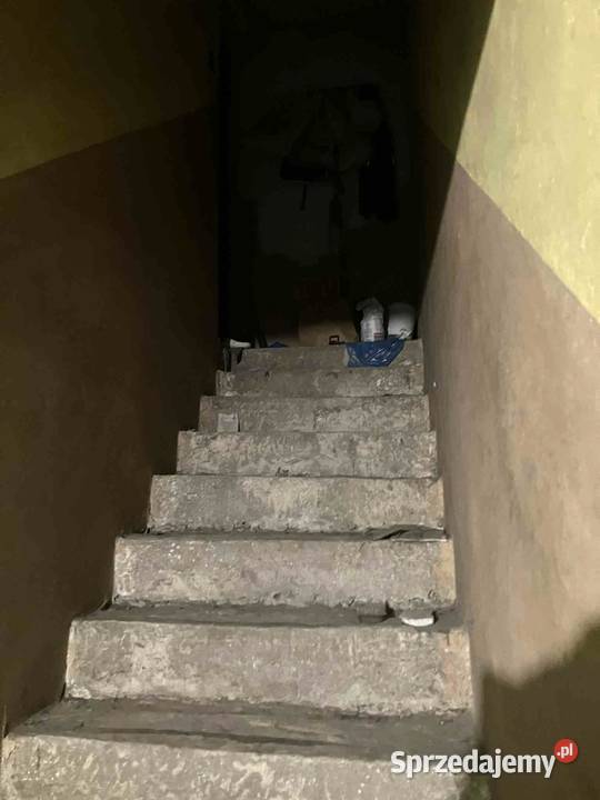 Dom Suszec centrum działka ok2000m2 śląskie