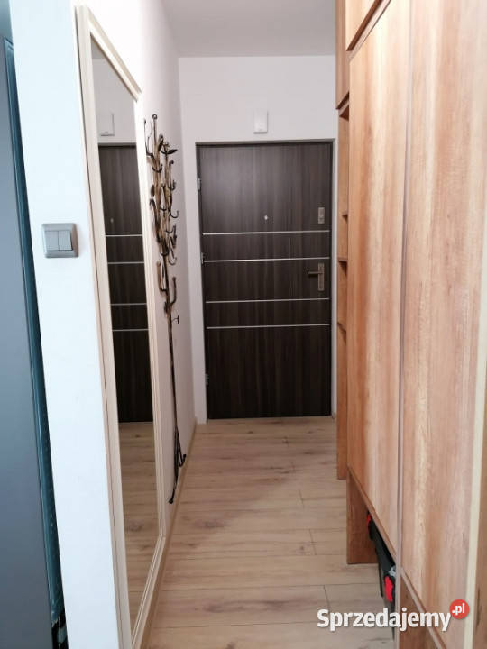 2 pokoje 3338 m Duży balkon 1 piętro 2017 r Bez Rzeszów