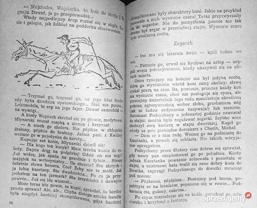 Dowolnie na koń Jan Janiszewski Książki i Podręczniki