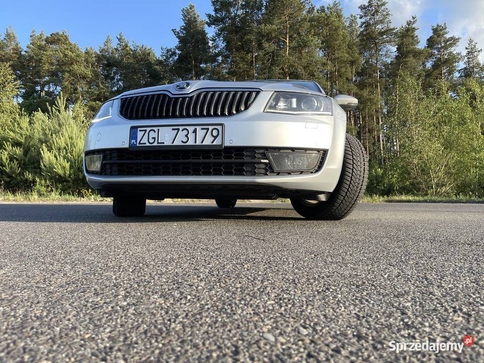 Skoda Octavia Kombi 16Tdi 105 DSG Czarna Łąka