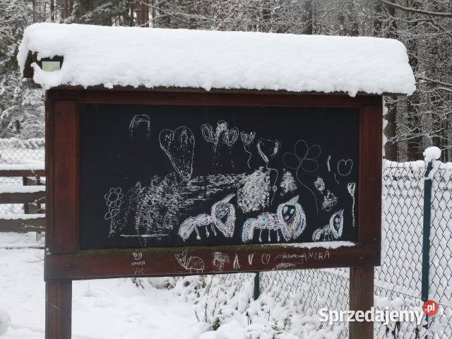 Działka na Kaszubach w bliskim otoczeniu lasów i Bytów
