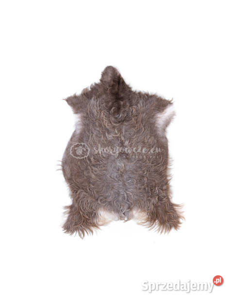 Skóra z kozy kozia skóra kozia skóra dekoracyjna Szaflary sprzedam