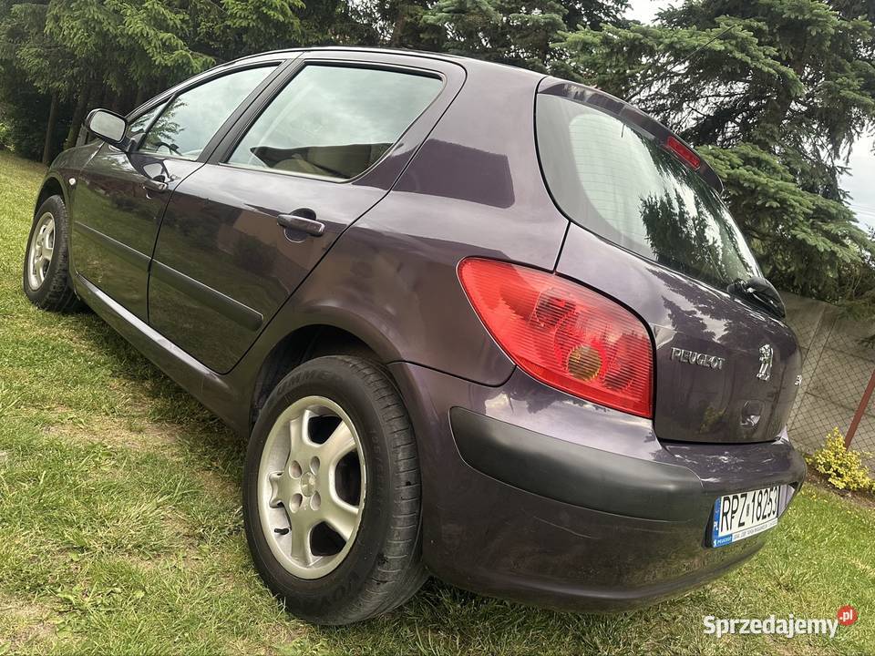 Peugeot 307 16 16V 109