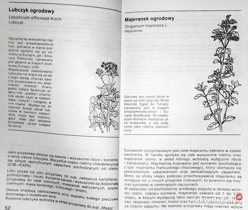 Ziołowe przyprawy kuchenne Zenon Węglarz Rok wydania 1988 Chełm