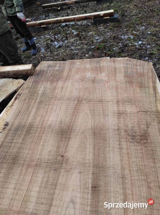 Monolit topola240x124x115x10 dąb jesion klon Przysucha