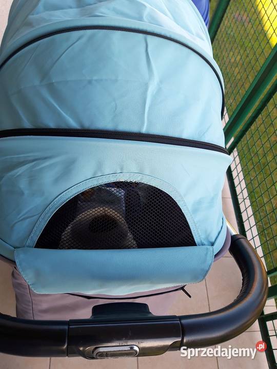 WÓZEK SPACEROWY TULIPO Turkus Coto Baby Wózki Kowalewo Pomorskie
