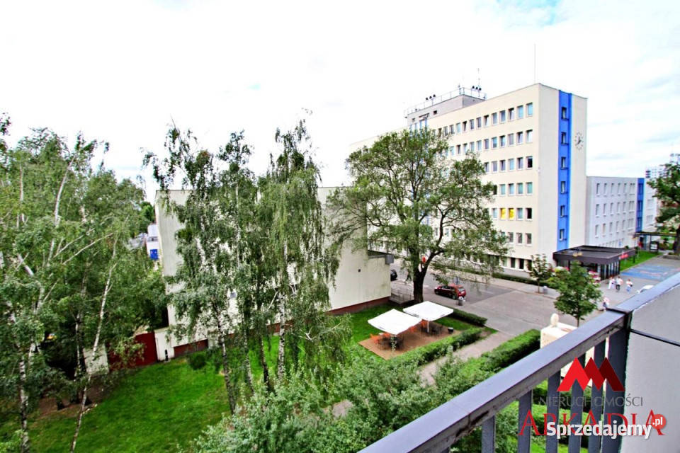 Mieszkanie Włocławek 6073m 3 pokoje Sprzedaż