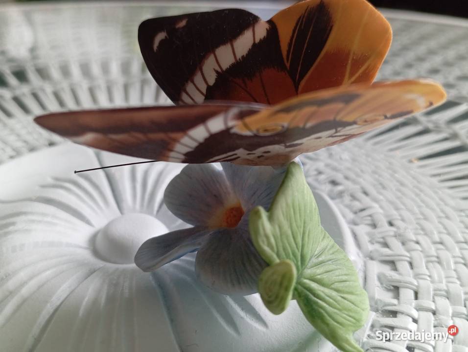 Porcelanowy motyl Franklin Porcelana i szkło lubuskie Zielona Góra