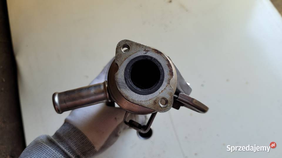 Chłodnica spalin Ford Mondeo 20 TDCI Łagów