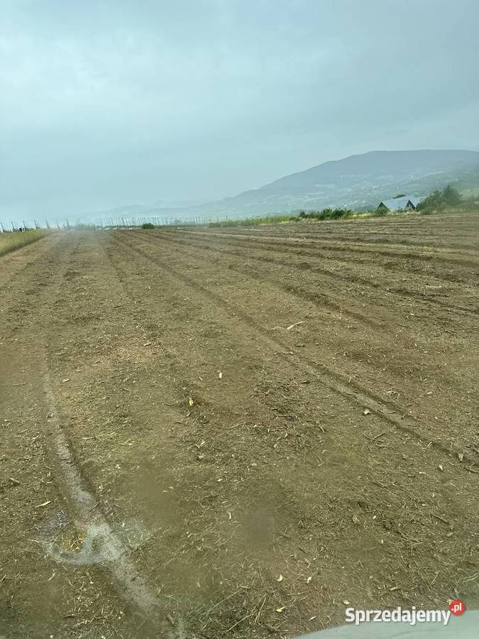 Karczowanie działek usługi mulczerem czyszczenie Skała ogród