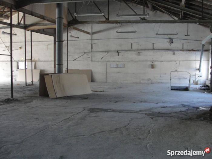 2 Hale magazynowoprodukcyjne 2400 m2 parter Racibórz sprzedam