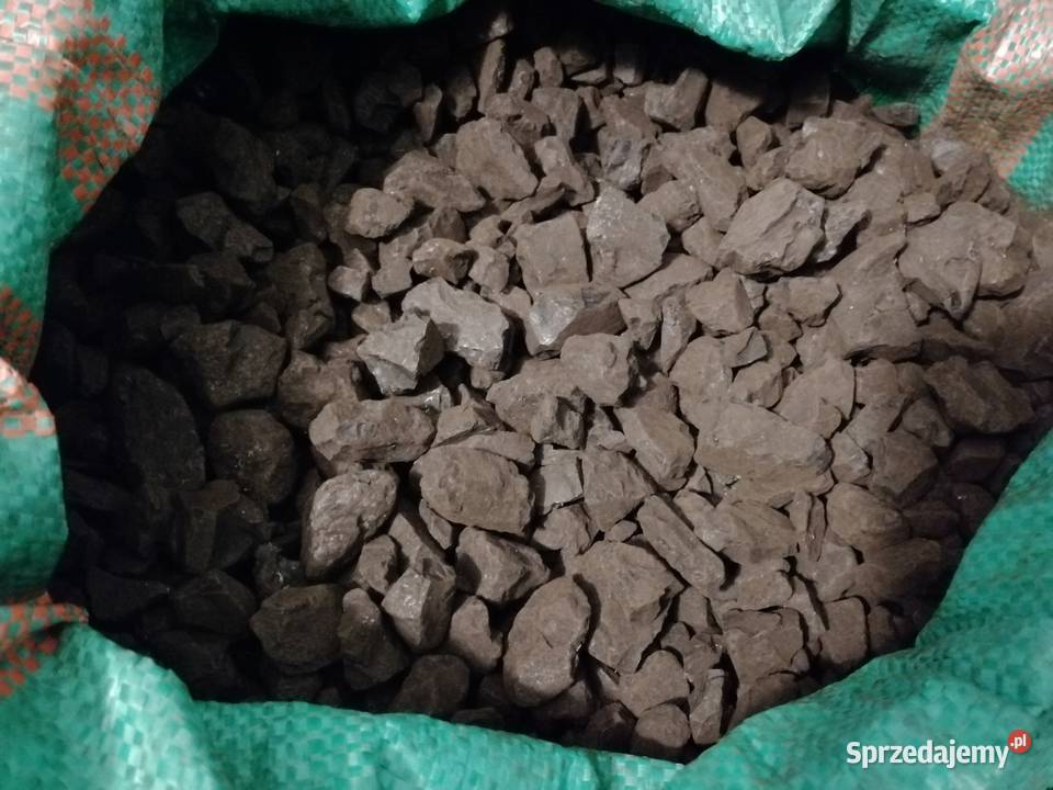 Ekogroszek Czeski suchy Krzepice sprzedam