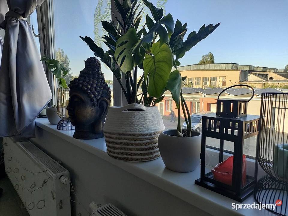 Studio jogi i pilatesu gotowy biznes Pozostałe