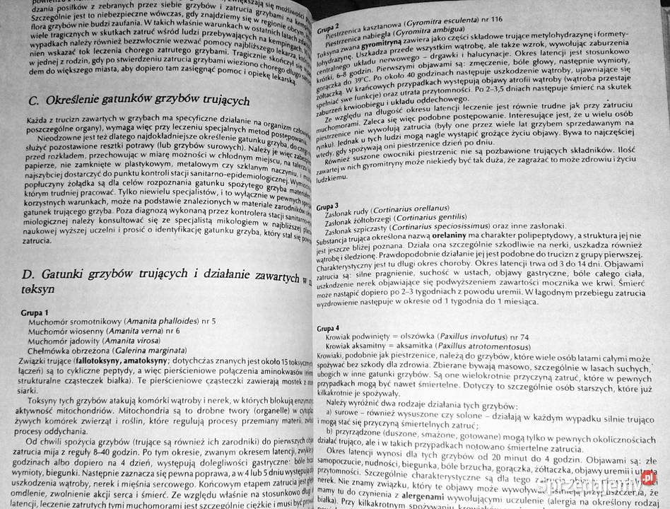 Atlas grzybów Bruno Hennig sprzedam