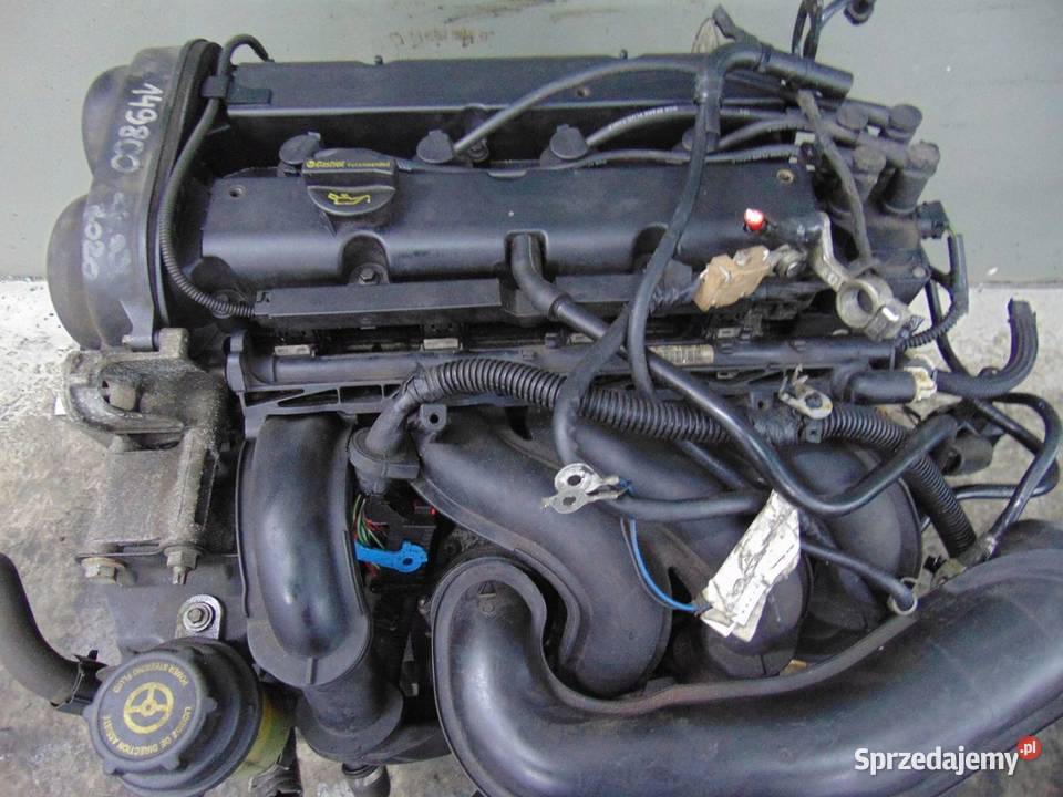 Silnik 16 duratec 16v Ford 7m5g 4m5g kolektor Grajewo sprzedam