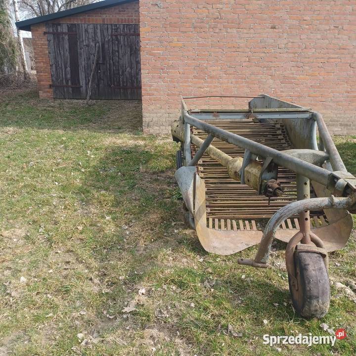 Kopaczka do ziemniaków elewatorowa sprzedam