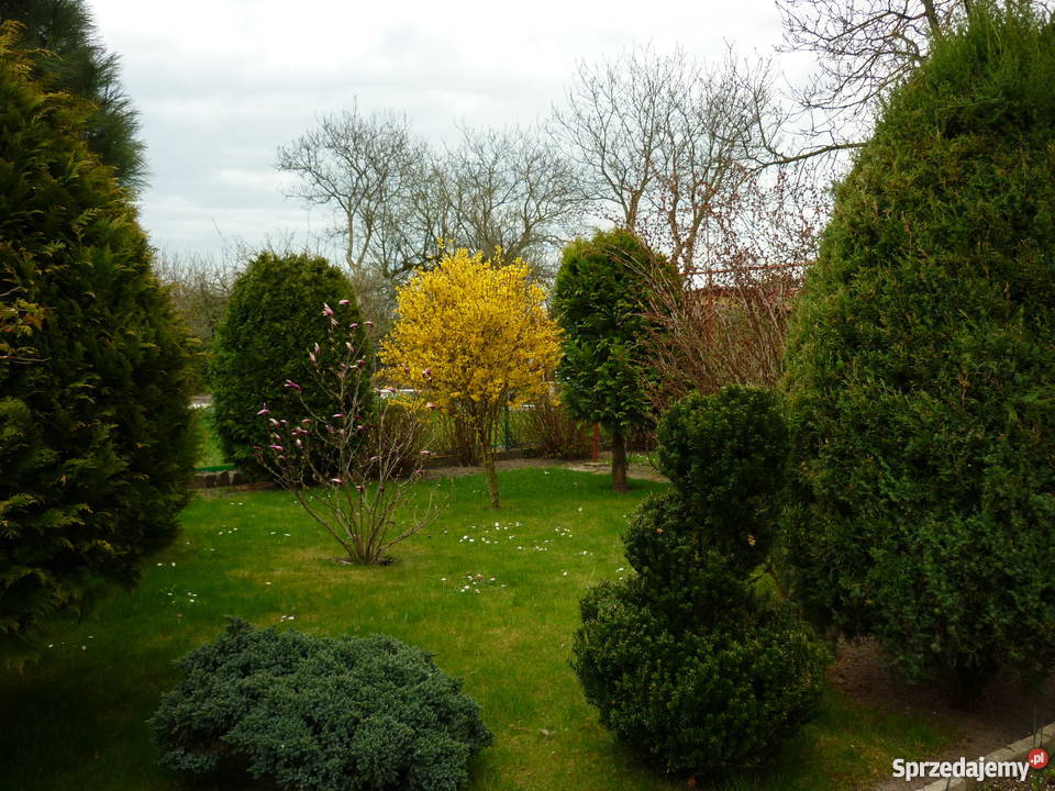 Ogródek działkowy sprzedam