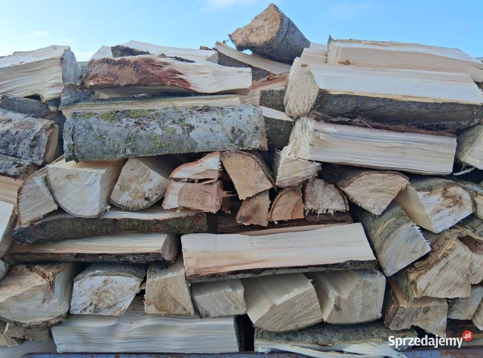 Drewno opałowe w 300 m3 Brzeźno