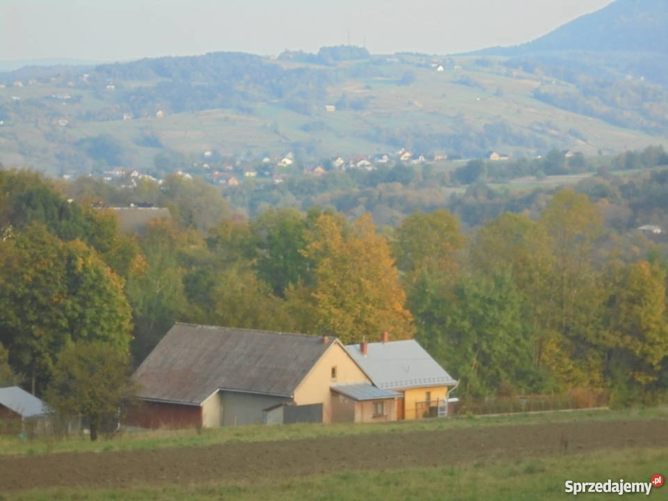 sprzedam dom Siołkowa gmina Grybów Nieruchomości Siołkowa
