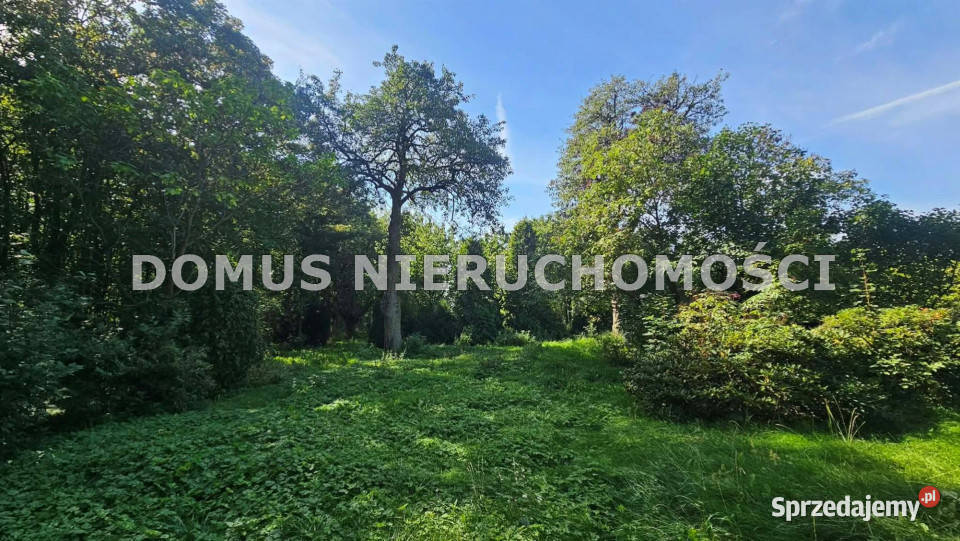 Grunt Buczek 35m2