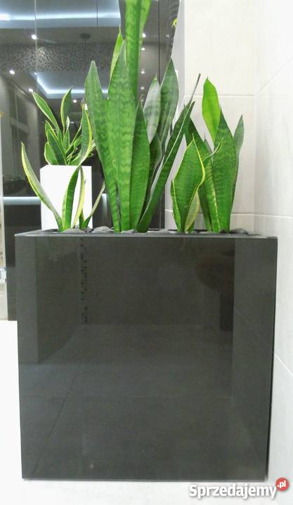 Glamour OSŁONKA Donica 55x55x20 LACOBEL BROKAT Łódź
