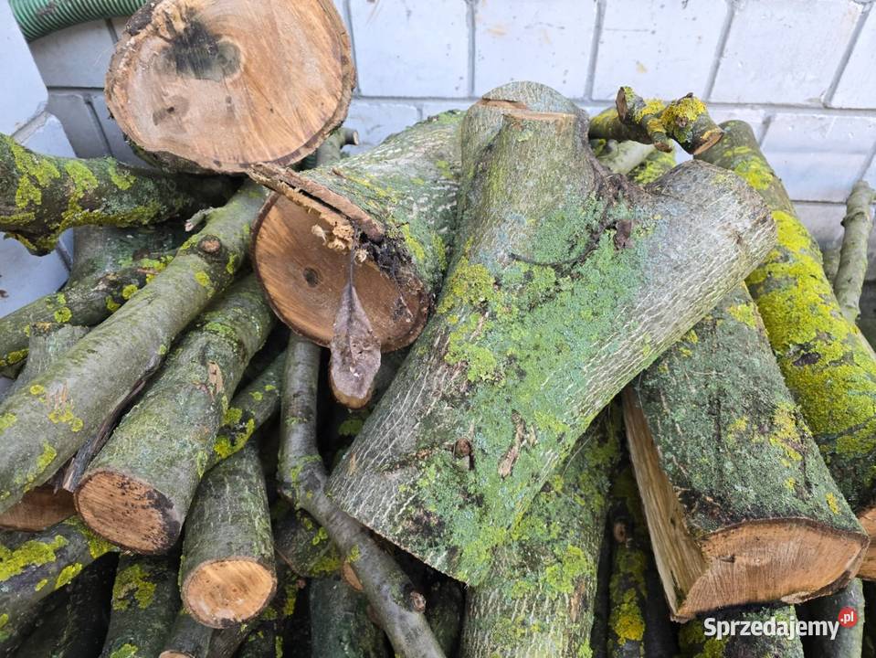 Drewno wiśniowe drewno orzechowe drewno Opał Warka sprzedam