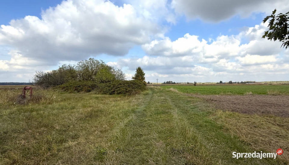 Dom Działki Sosnówka Rozwadówka gm Sosnówka