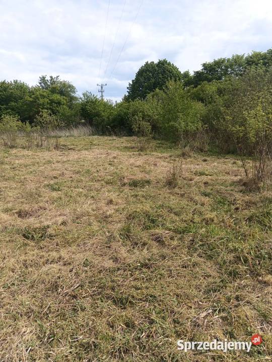 Działka budowlana na mazurach Dźwierzuty