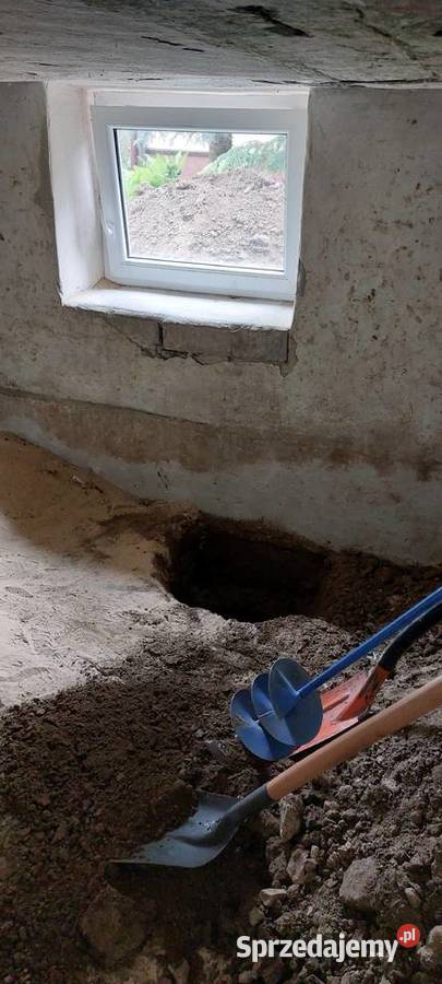 Usługi Ogrodnicze Koszenie trawników