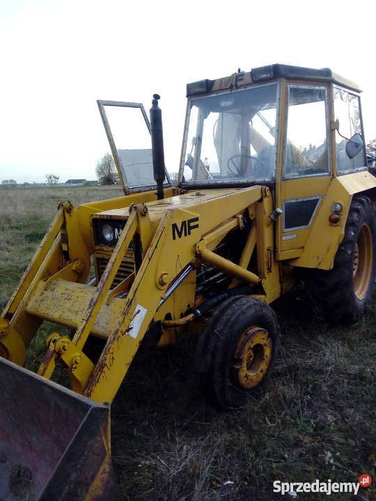 Koparko ładowarka MF 50 Kamień Kotowy