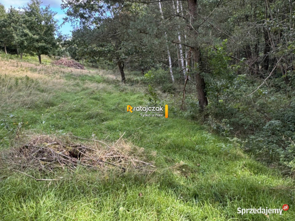 Działka Koleczkowo Jeziorna 5800m2