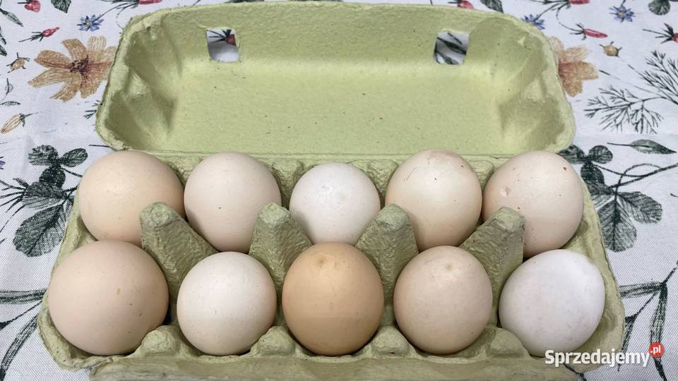 Jajka wiejskie sprzedam