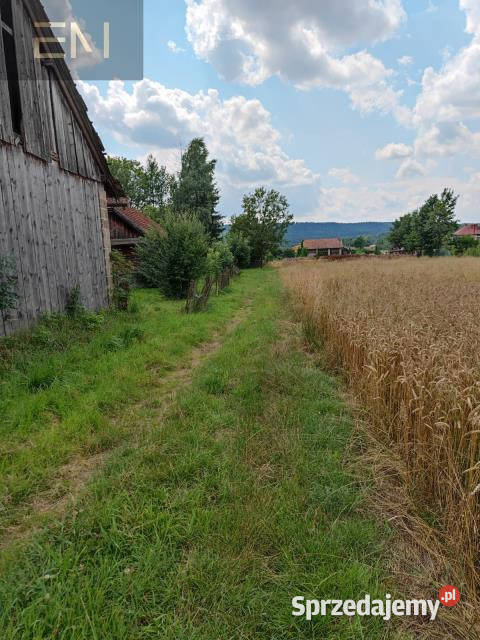 sprzedaży gruntu 3020m2 Godowa gaz