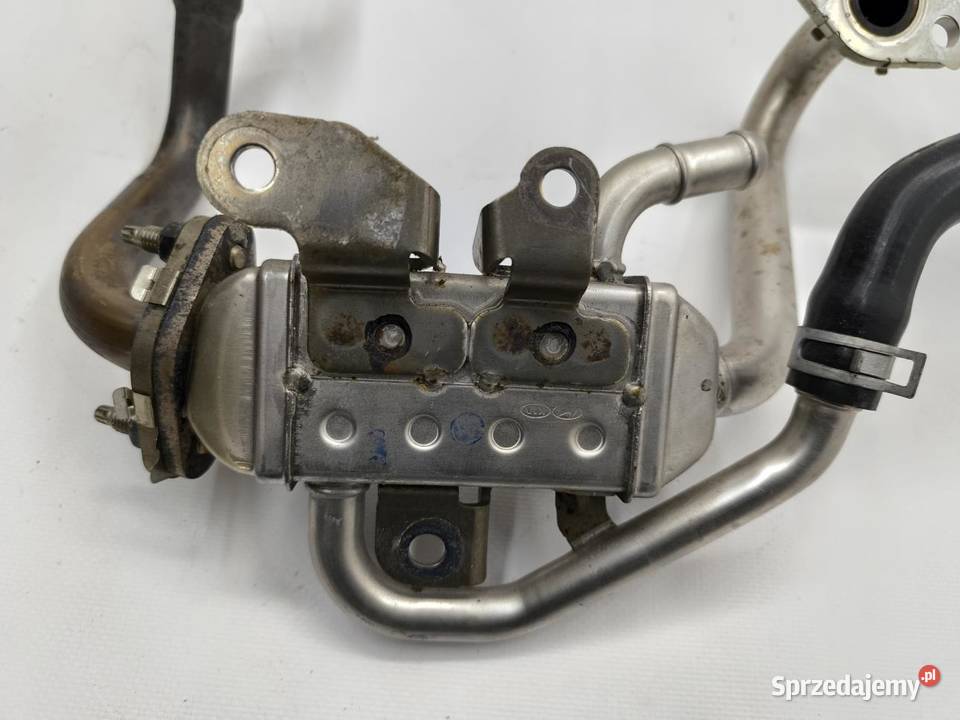 CHŁODNICZKA EGR SPALIN 12B HYUNDAI BAYON wielkopolskie sprzedam