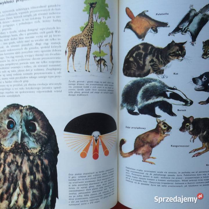 2582 Encyklopedia Larousse