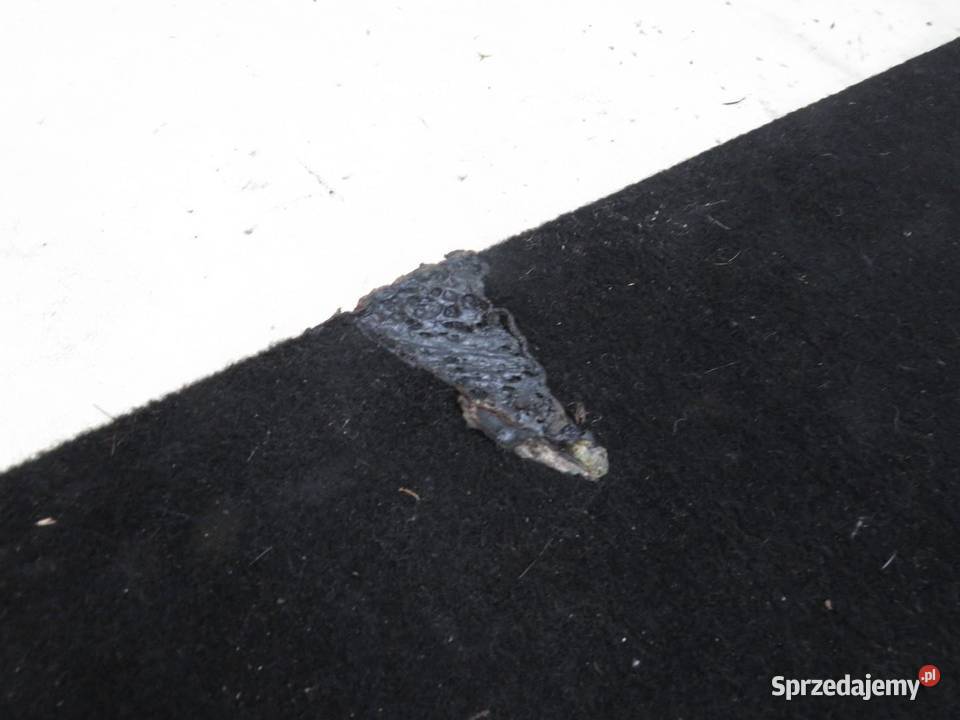 PODŁOGA DYWAN WYKŁADZINA BAGAŻNIKA FORD KUGA MK2 lubelskie