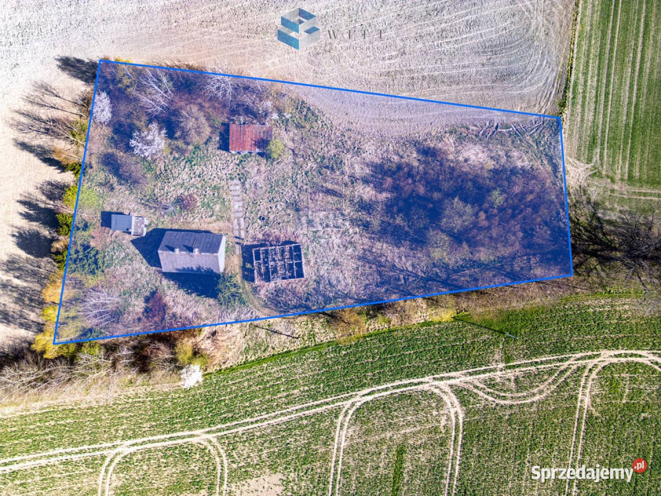 sprzedaży działki Leszczynka Mała 5000m2 32m Sprzedaż