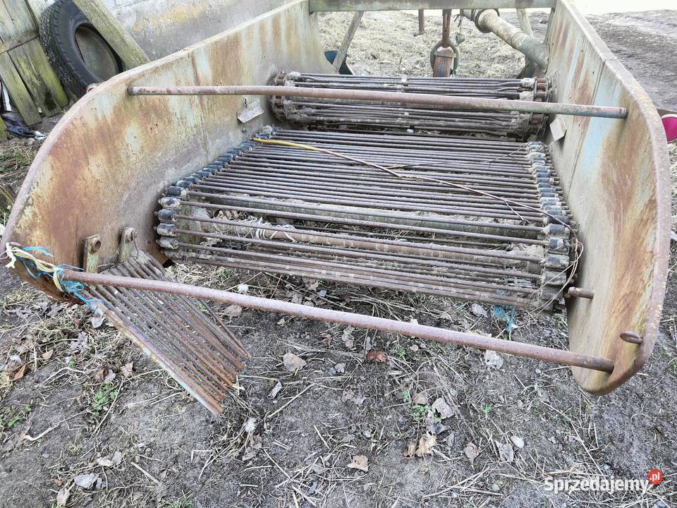 Kopaczka do ziemniaków elewatorowa agromet Przedecz