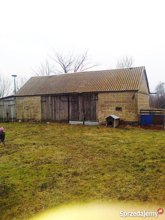 SPRZEDAM SIEDLISKO NA WSI Setropie