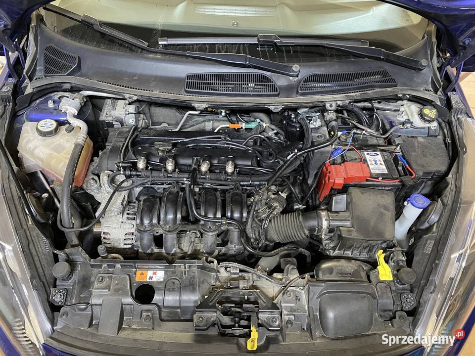 Ford Fiesta 125 LPG Stanisław Dolny