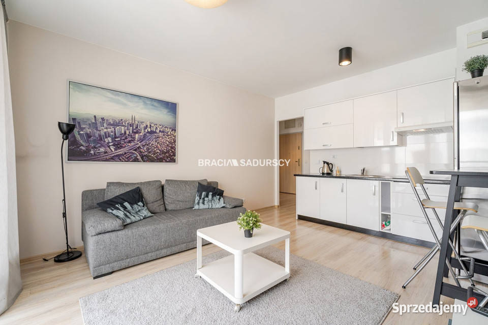 sprzedaży mieszkania Kraków Borkowska 3893m2 małopolskie