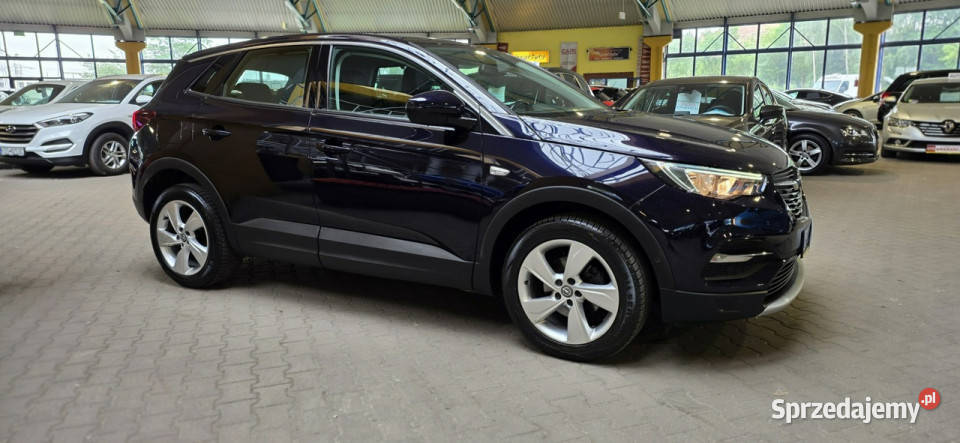 Opel Grandland X 20182019 OPIS W podanej roczna 131KM śląskie Mysłowice