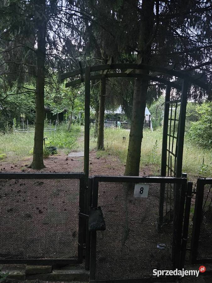 Działka Rod Ostra Górka Sosnowiec śląskie sprzedam