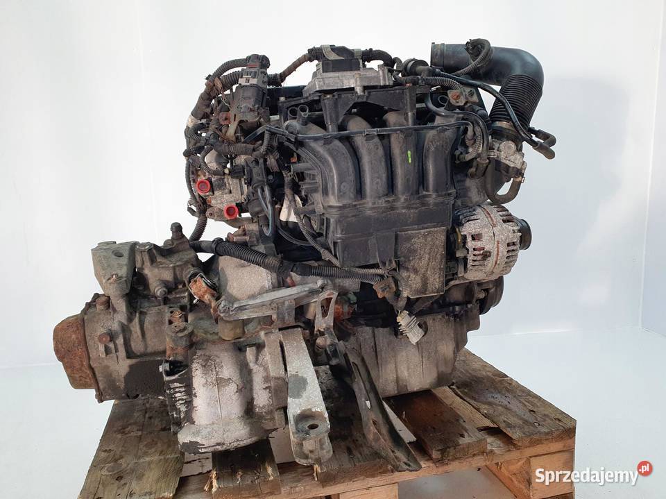 SILNIK KOMPLETNY Opel Signum Vectra C 16 16V 105 Rudka sprzedam