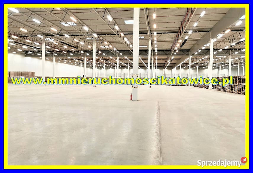 Powierzchnie magazynowe do wynajęcia do 10000 m2 winda Sosnowiec