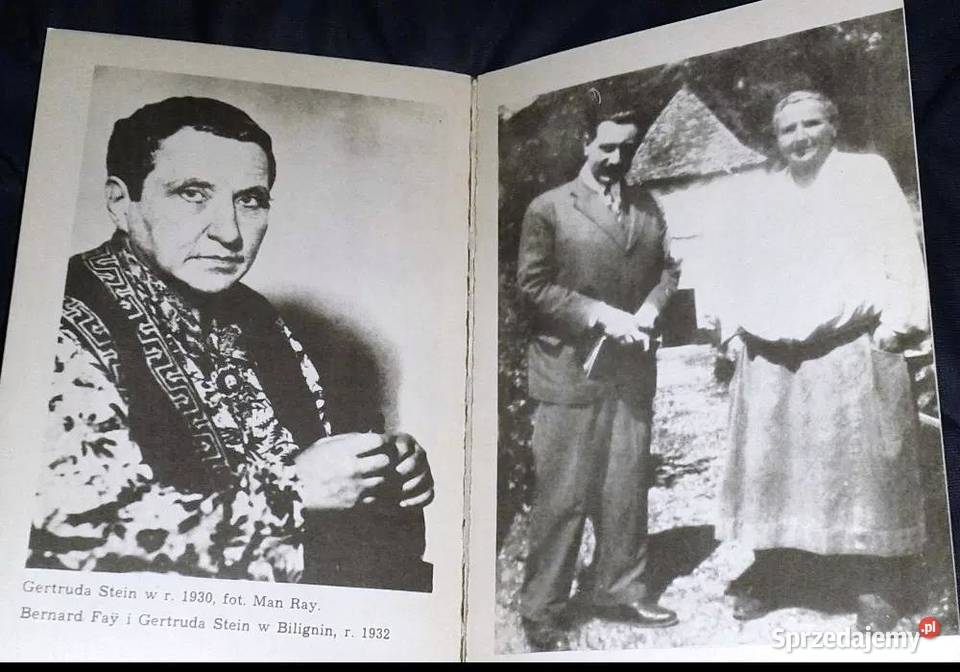 Gertruda Stein Mira Michałowska Pozostałe Chełm sprzedam