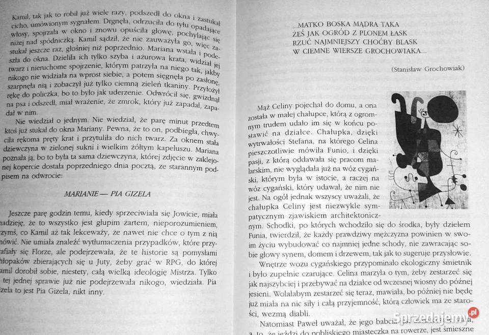 Dziewczyna Mistrza Gry Krystyna Siesicka Pozostałe Chełm sprzedam