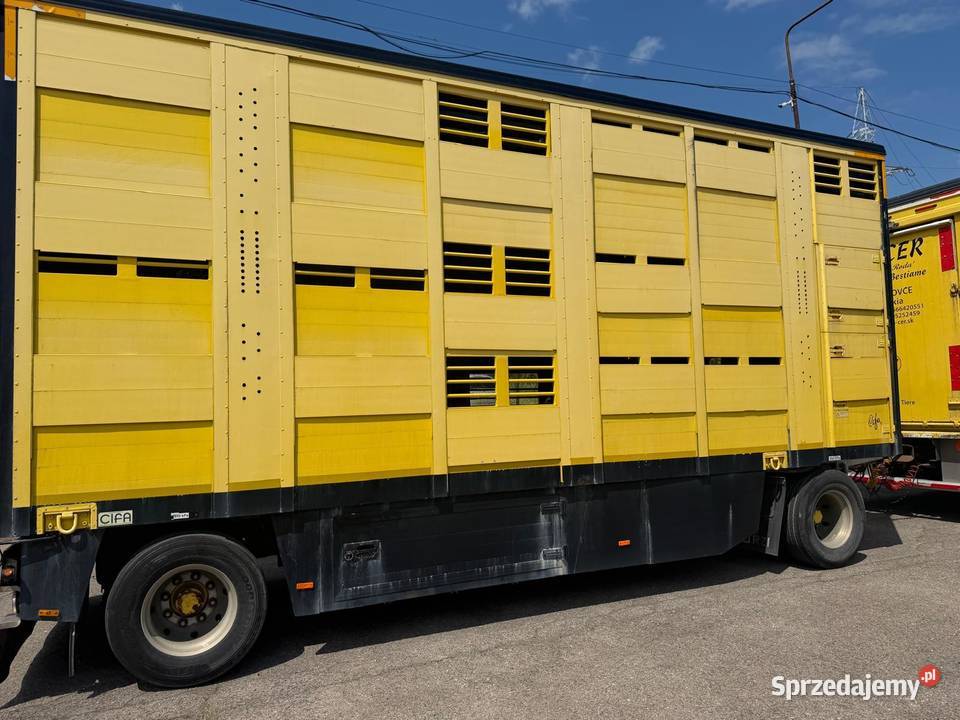Auto do przewozu bydła żywca zwierząt Volvo FH16 nieuszkodzony Volvo Nowa Ruda